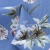 Плательная ткань "Фламенко" 12.1, 80 гр/м2, шир.150 см, принт растительный - купить в Курске. Цена 241.49 руб.