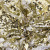 Трикотажное полотно, Сетка с пайетками, шир.130 см, #315, цв.-белый/золото - купить в Курске. Цена 693.39 руб.