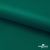 Ткань подкладочная Таффета, 19-5420, 53 г/м2, антистатик, шир. 150 см, вечнозеленый - купить в Курске. Цена 57.16 руб.