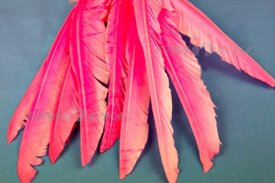 Декоративный Пучок из перьев, перо 25см/розовый - купить в Курске. Цена: 14.40 руб.