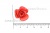 Украшение "Розы малые №1" 20мм - купить в Курске. Цена: 32.49 руб.