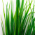 Трава искусственная -2, шт (осока 41см/8 см)				 - купить в Курске. Цена: 104.57 руб.