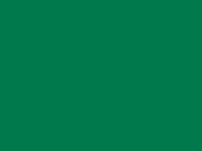 85 см № 258 яр. зеленый спираль (G) сорт-2 - купить в Курске. Цена: 16.97 руб.