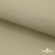 Ткань подкладочная TWILL 230T 14-1108, беж светлый 100% полиэстер,66 г/м2, шир.150 cм - купить в Курске. Цена 90.59 руб.