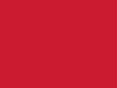 Сетка подкладочная красный, 60г/м2 (10 м/кг) - купить в Курске. Цена 885.73 руб.