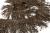 008-коричневый, Бахрома арт.001 шир.10см (упак.12+/-0,5м) - купить в Курске. Цена: 1 017.33 руб.