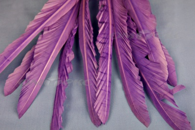 Декоративный Пучок из перьев, перо 25см/фиолетовый - купить в Курске. Цена: 12.19 руб.