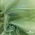 Ткань органза, 100% полиэстр, 28г/м2, шир. 150 см, цв. #27 зеленый - купить в Курске. Цена 86.24 руб.