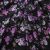 Плательная ткань "Фламенко" 20.1, 80 гр/м2, шир.150 см, принт растительный - купить в Курске. Цена 241.49 руб.