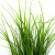 Трава искусственная -3, шт (осока 50 см/8 см  5 листов)				 - купить в Курске. Цена: 124.17 руб.